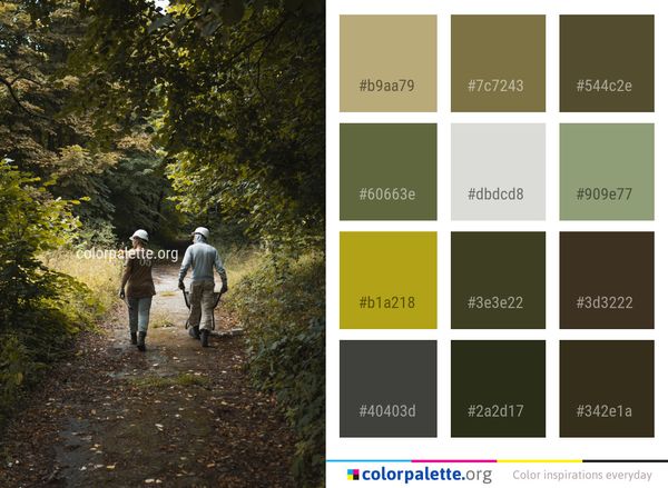Path Nature Tree Color Palette