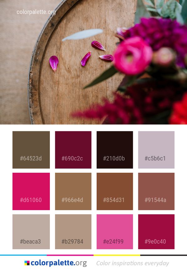Pink Flower Flora Color Palette