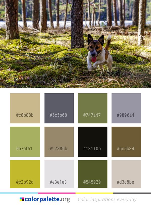 Plant Tree Dog Breed Color Palette