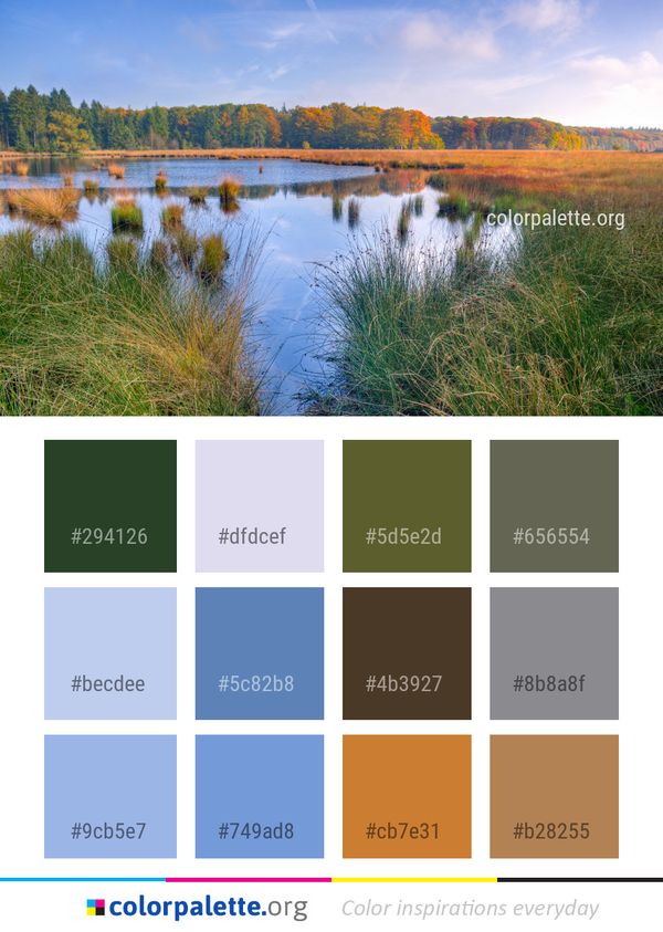 Reflection Nature Water Color Palette