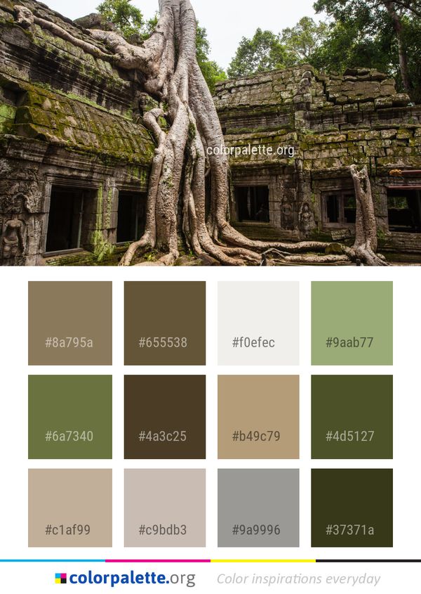 Ruins Archaeological Site Historic Color Palette
