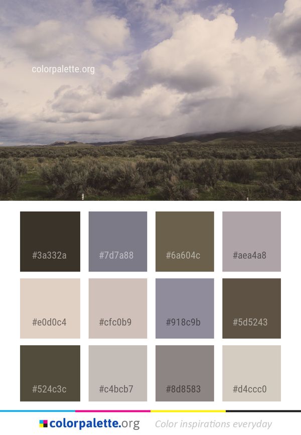 Sky Cloud Highland Color Palette