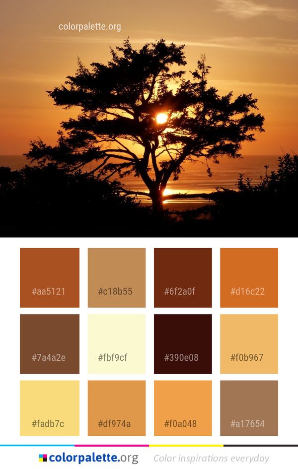 Sky Sunset Sunrise Color Palette