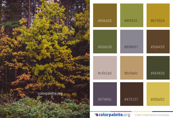 Tree Yellow Autumn Color Palette