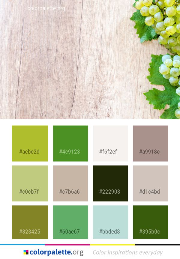 Grapevine Family Grape Vitis Color Palette