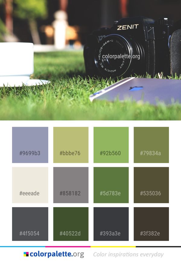 Green Grass Photography Color Palette