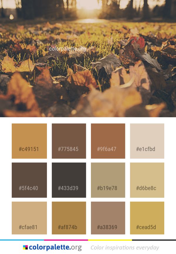 Leaf Nature Yellow Color Palette