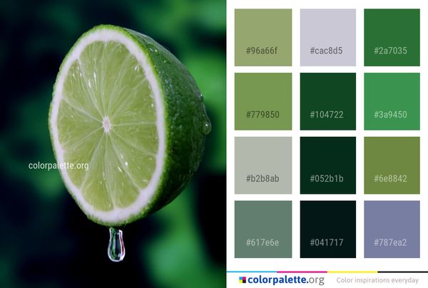 Lime Green Macro Photography Color Palette