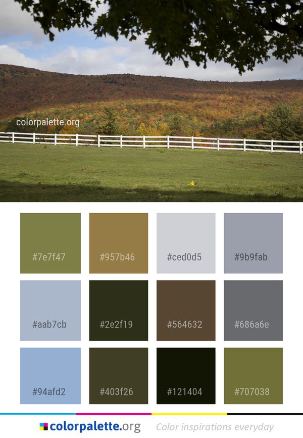 Pasture Grassland Tree Color Palette