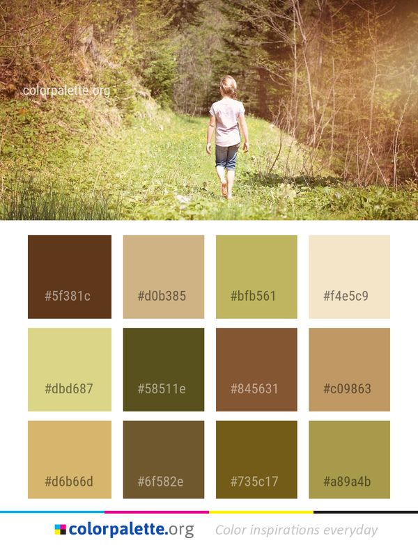 Photograph Nature Green Color Palette