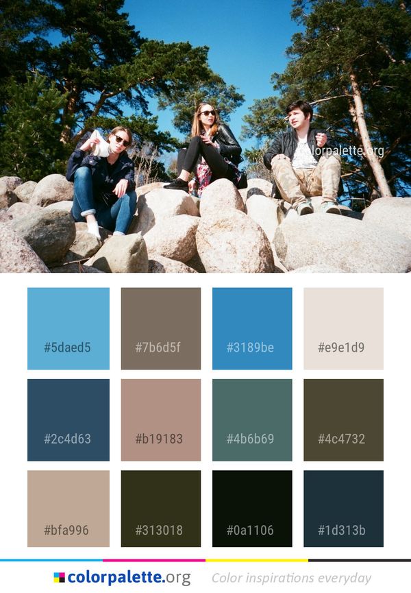 Photograph Tree Outdoor Recreation Color Palette