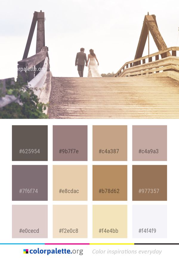 Photograph Wedding Ceremony Color Palette