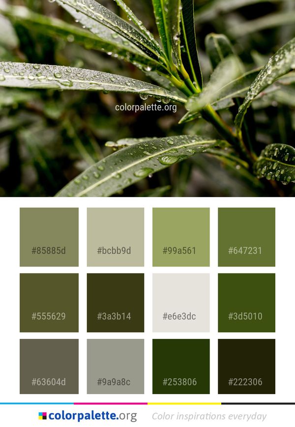 Plant Leaf Flora Color Palette