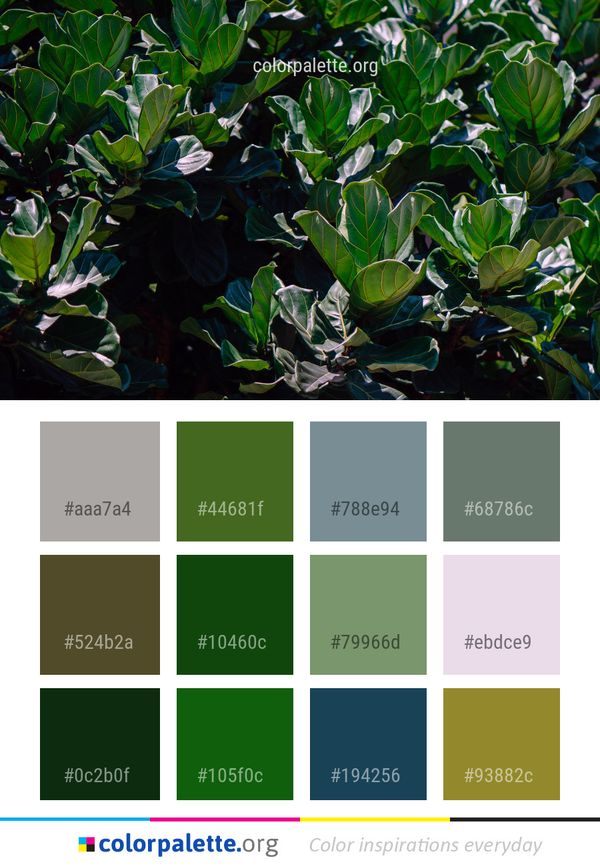Plant Leaf Vegetation Color Palette