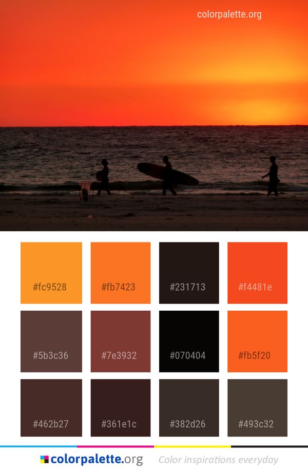 Sea Horizon Sunset Color Palette