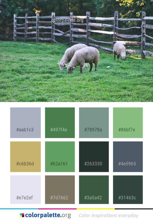 Sheep Pasture Color Palette