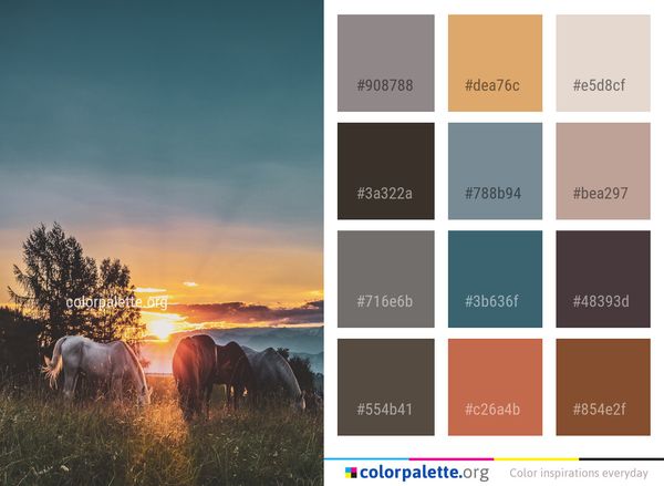 Sky Grassland Morning Color Palette