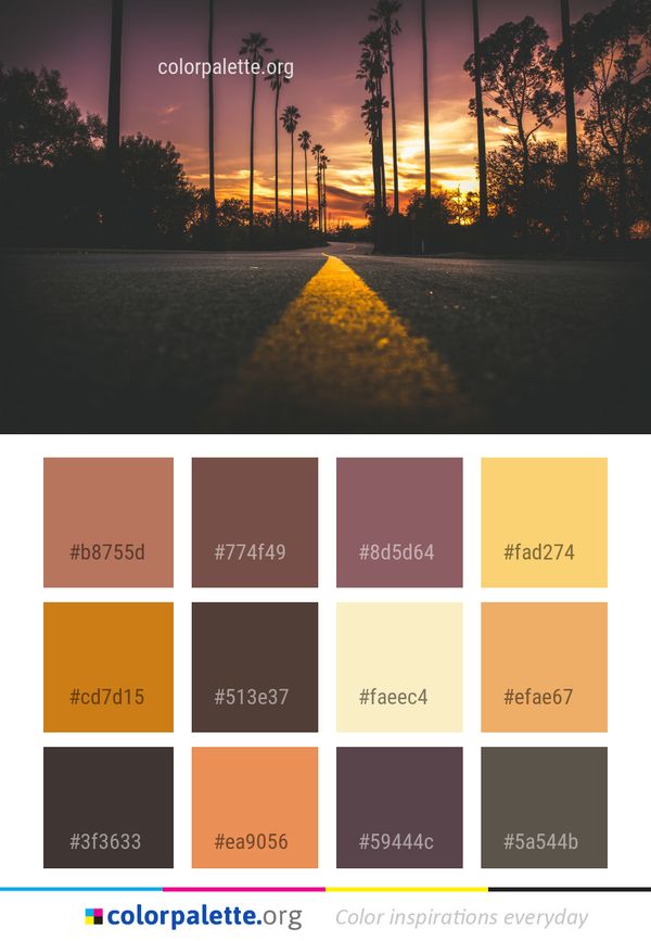 Sky Sunrise Sunset Color Palette
