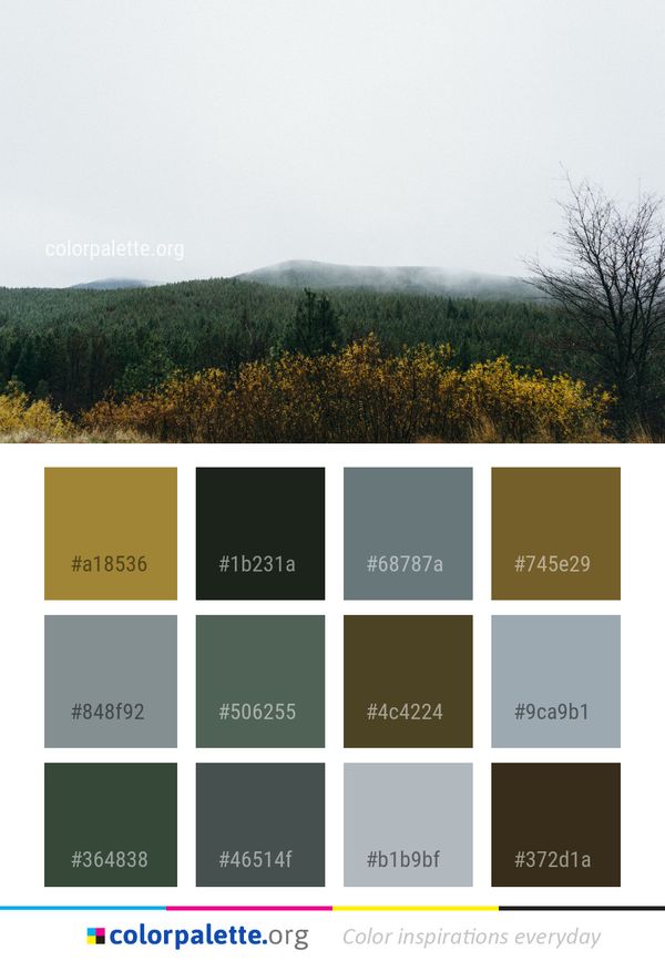 Sky Tree Mountainous Landforms Color Palette