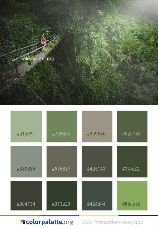Vegetation Nature Green Color Palette