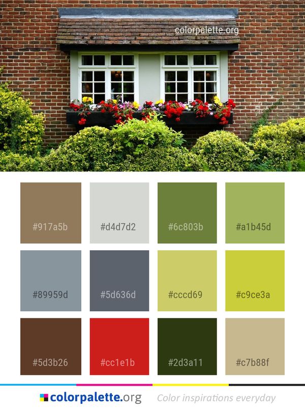 Window Home House Color Palette