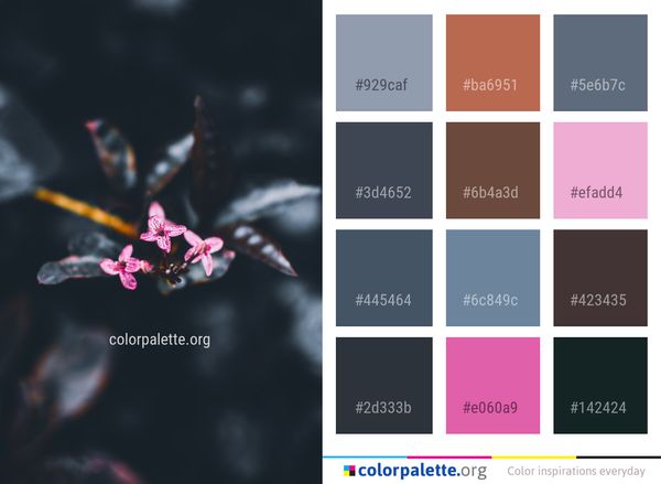 Flower Plant Pink Color Palette