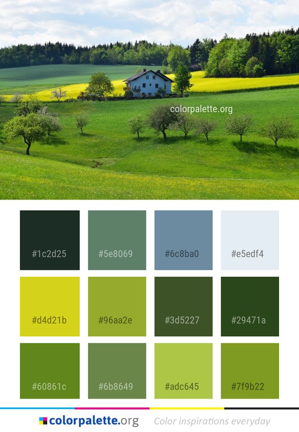 Grassland Field Pasture Color Palette