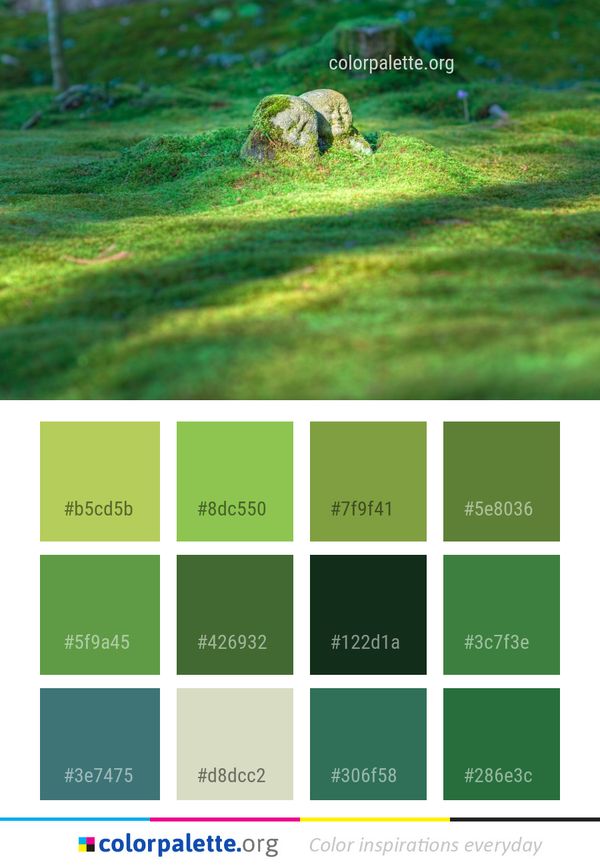 Green Ecosystem Grass Color Palette