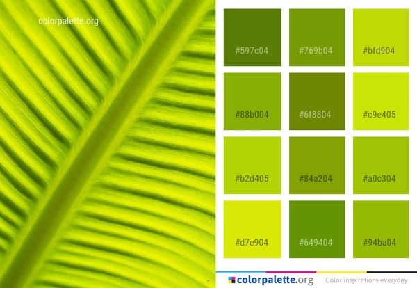 Green Leaf Yellow Color Palette
