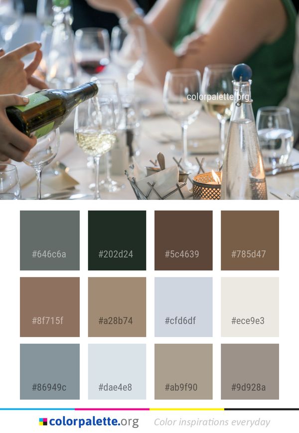 Liqueur Drink Alcoholic Beverage Color Palette