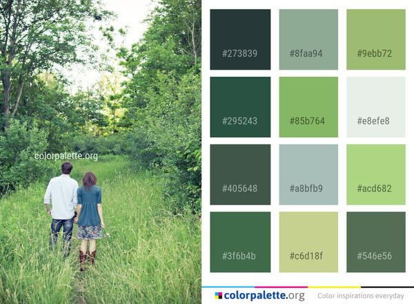 Photograph Green Nature Color Palette