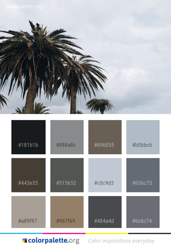 Sky Tree Palm Color Palette