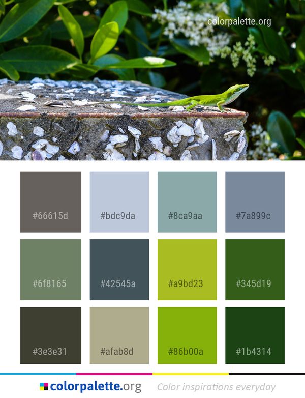 Fauna Leaf Flora Color Palette