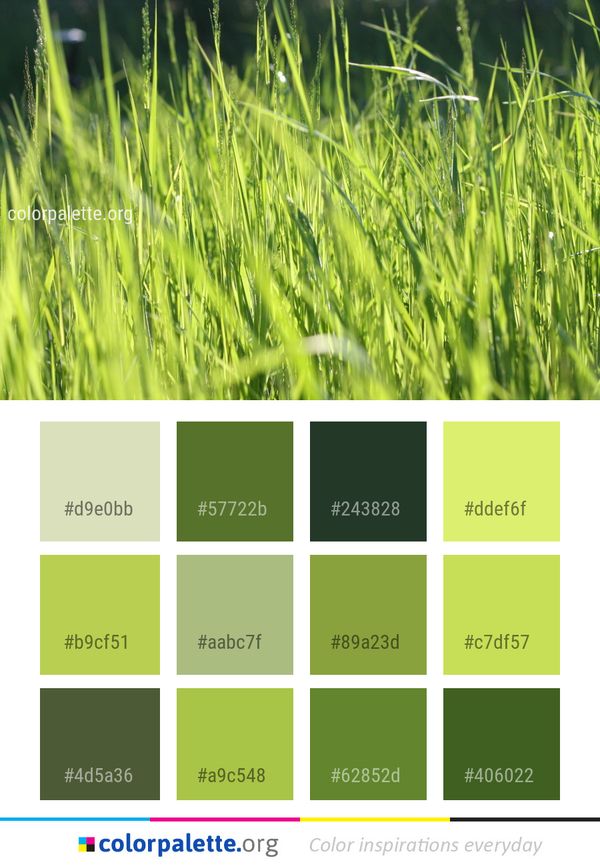 Grass Green Vegetation Color Palette