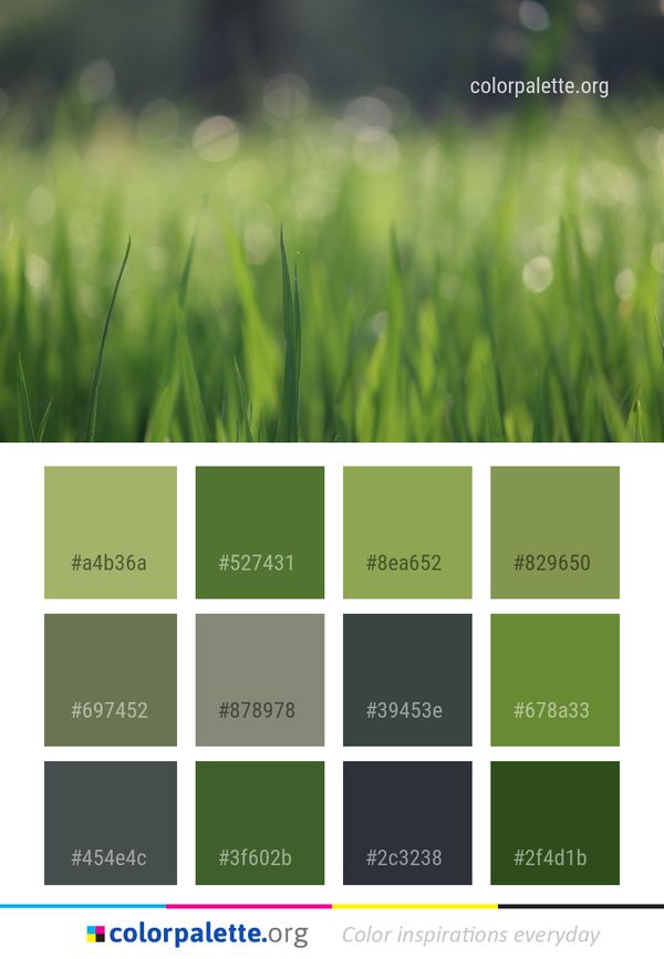 Green Grass Vegetation Color Palette