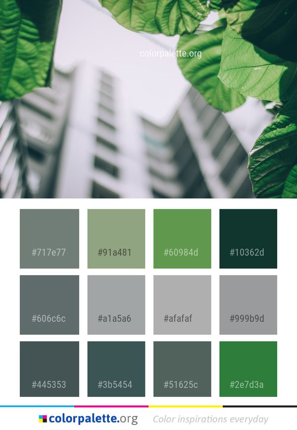 Green Leaf Plant Color Palette