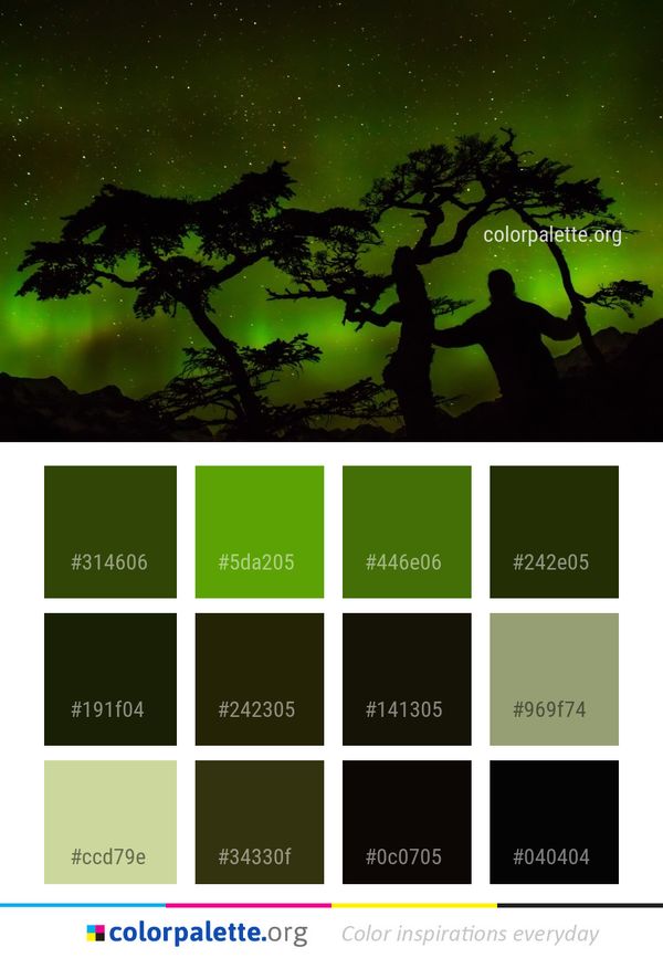 Nature Green Sky Color Palette