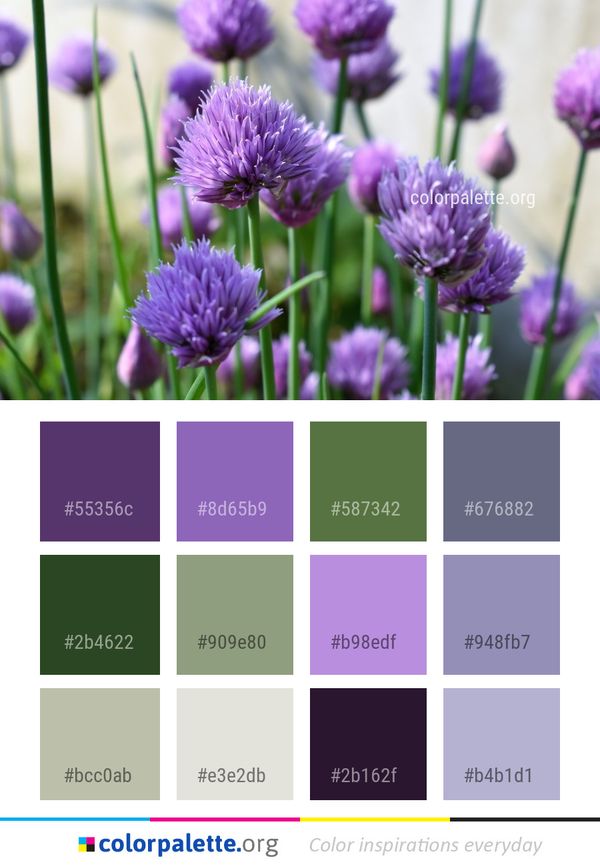 Purple Chives Plant Color Palette