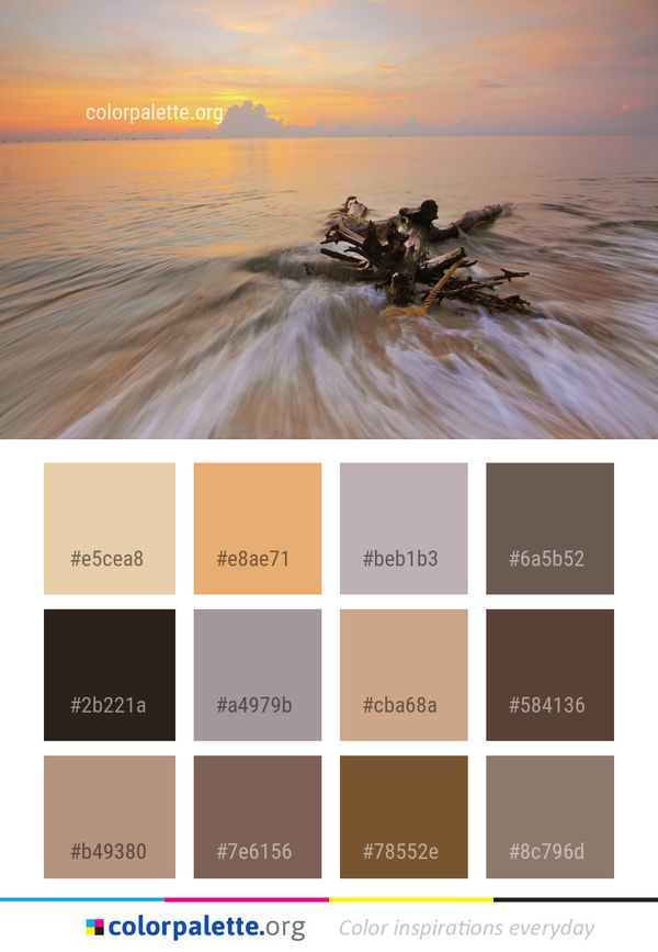 Sea Water Horizon Color Palette
