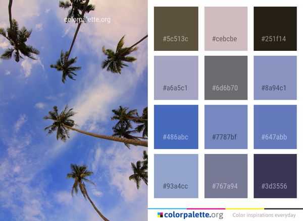 Sky Cloud Tree Color Palette