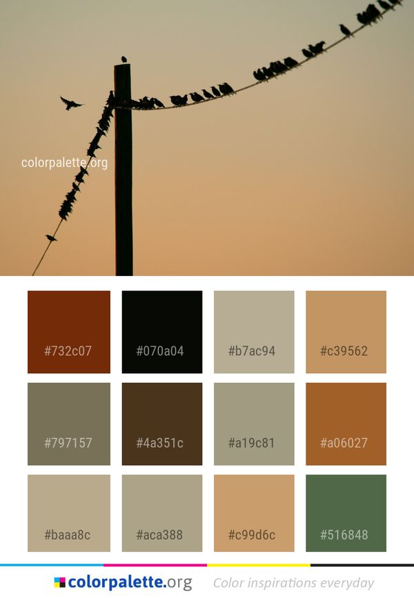 Sky Electrical Supply Line Color Palette