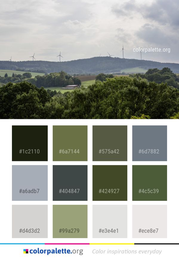 Sky Highland Tree Color Palette
