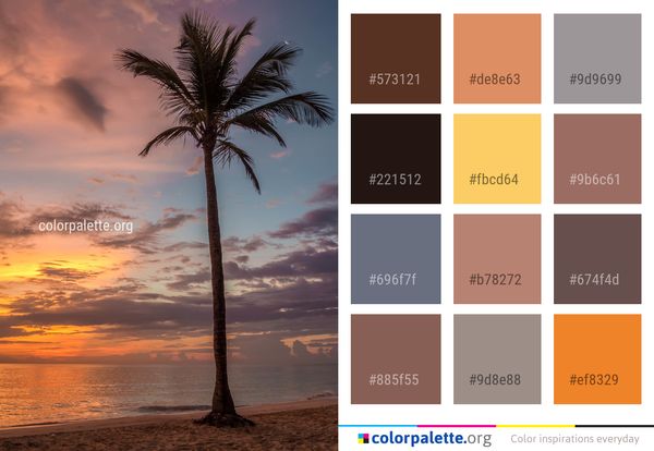 Sky Sea Palm Tree Color Palette