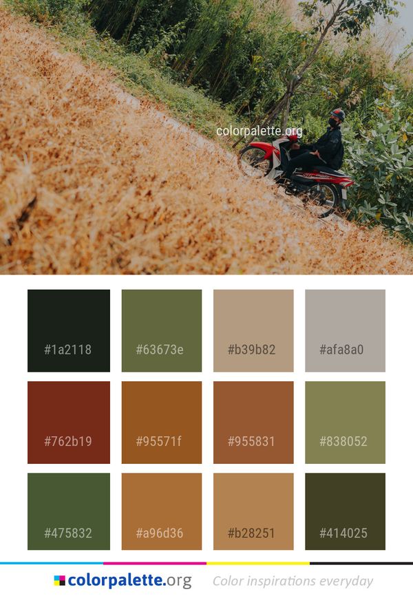 Soil Plant Tree Color Palette