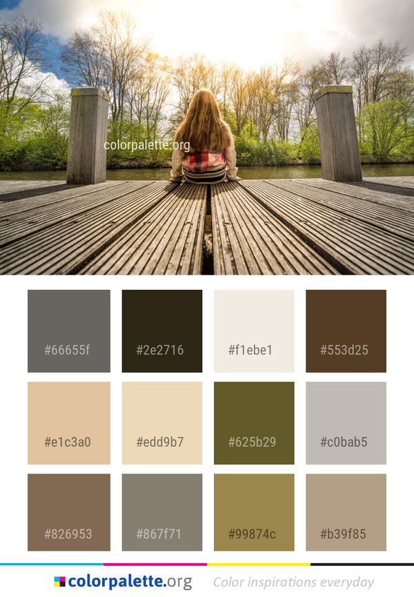 Tree Sky Wood Color Palette