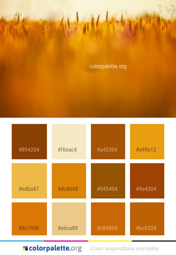 Yellow Field Morning Color Palette