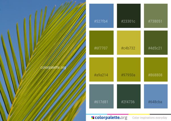 Yellow Sky Leaf Color Palette