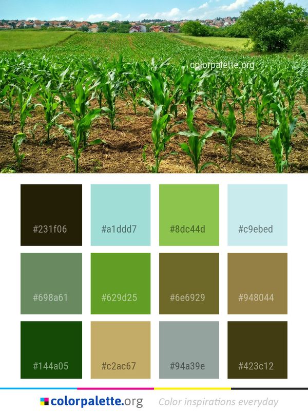 Agriculture Crop Field Color Palette