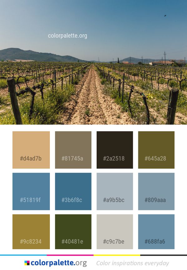 Agriculture Sky Vineyard Color Palette