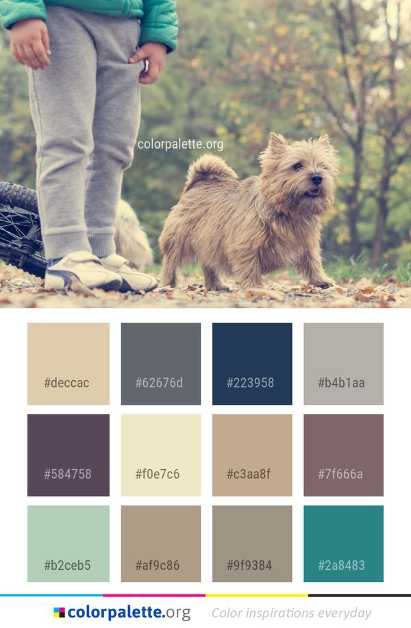 Dog Like Mammal Breed Color Palette